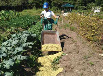 竹チップの土壌改良材への利用
