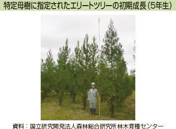 特定母樹に指定されたエリートツリーの初期成長（5年生）