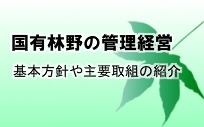 国有林の管理経営 基本方針や主要取組の紹介
