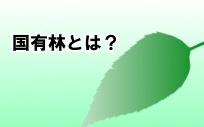 国有林とは？