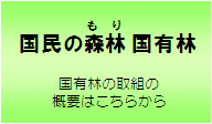 国有林パンフバナー