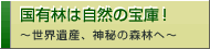 国有林は自然の宝庫！
