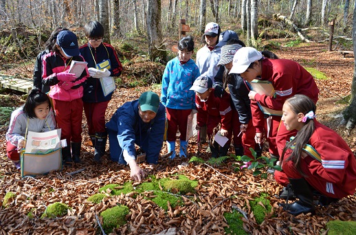 岳岱自然観察教育林で小学生に森林教室