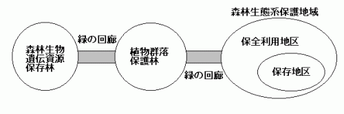 緑の回廊のイメージ