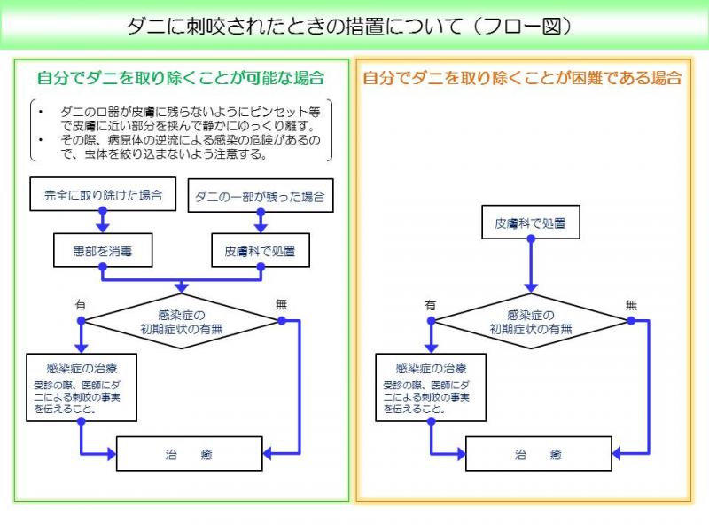 ダニ刺咬フロー