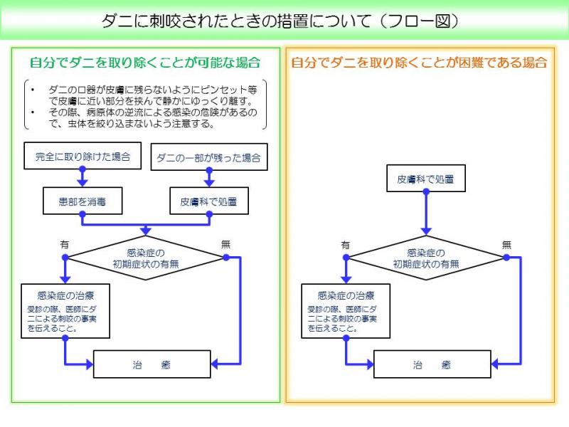 ダニ刺咬フロー