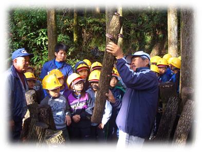 森林環境教育（ほだ木）