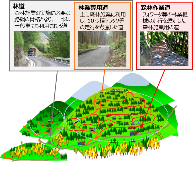林道、林業専用道、森林作業道の組み合わせによる路網の整備のイメージ図です