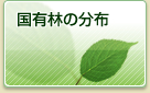 国有林の分布