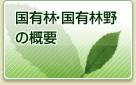 国有林・国有林野の概要