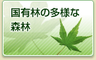 国有林の多様な森林