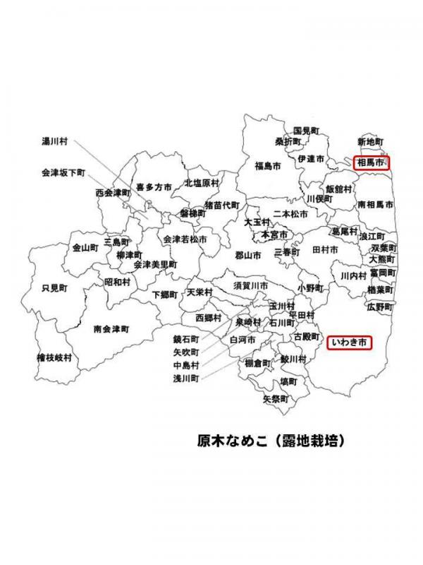 240613fukusima3