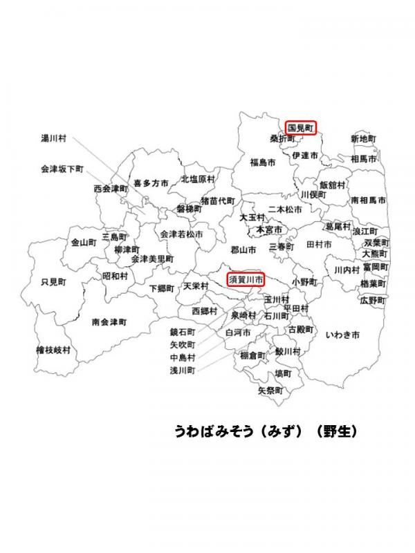 h250624fukusima