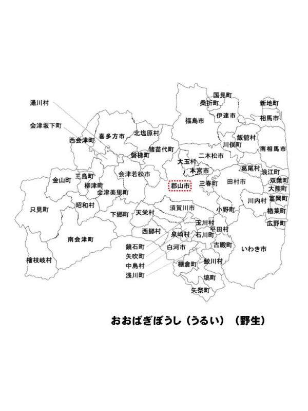 h270501fukusima