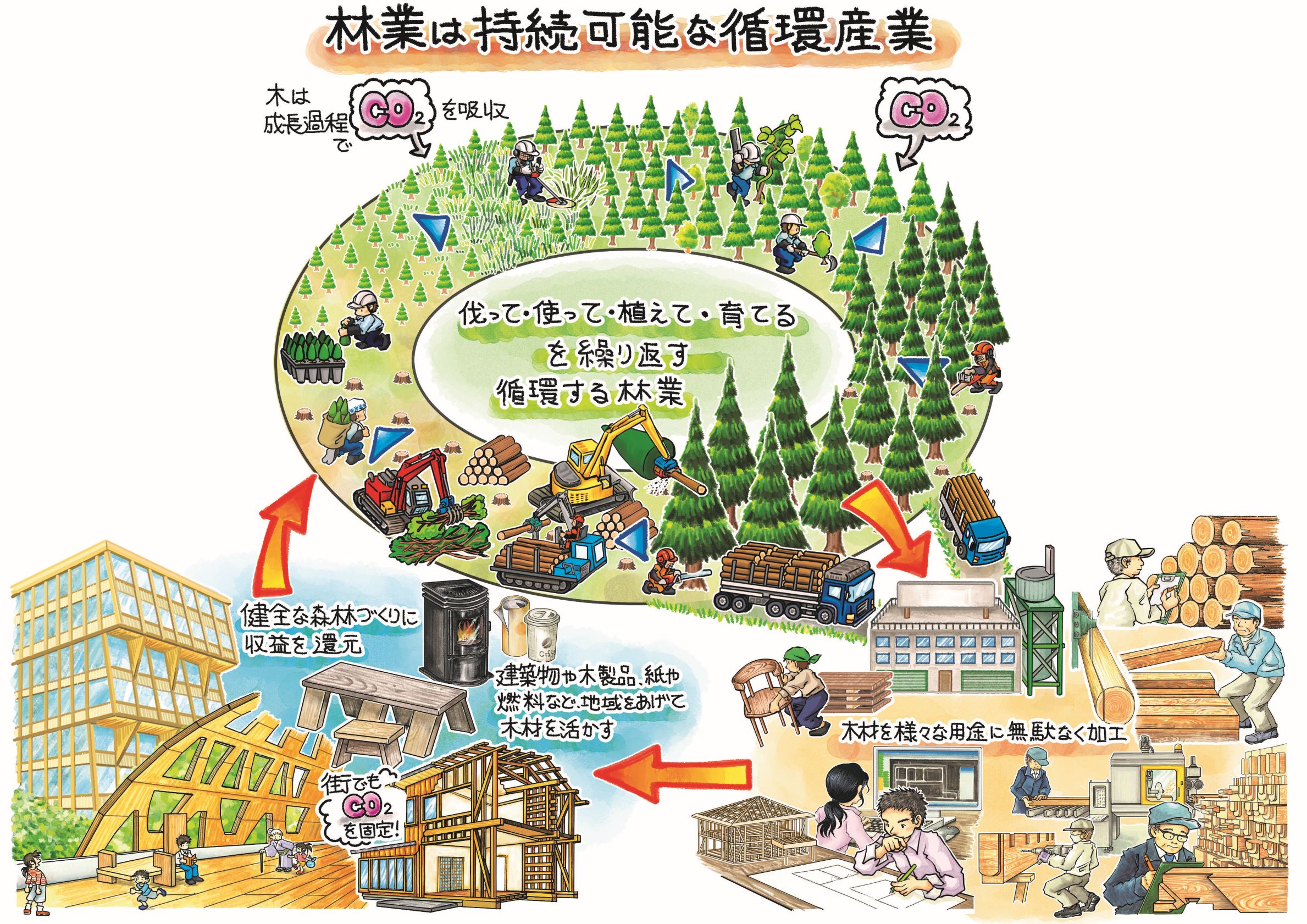 森林業循環活用図