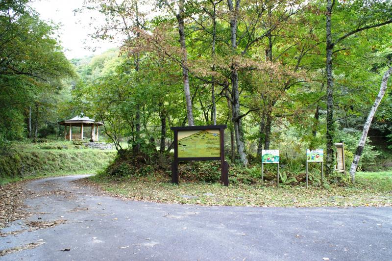 赤城水源の森1