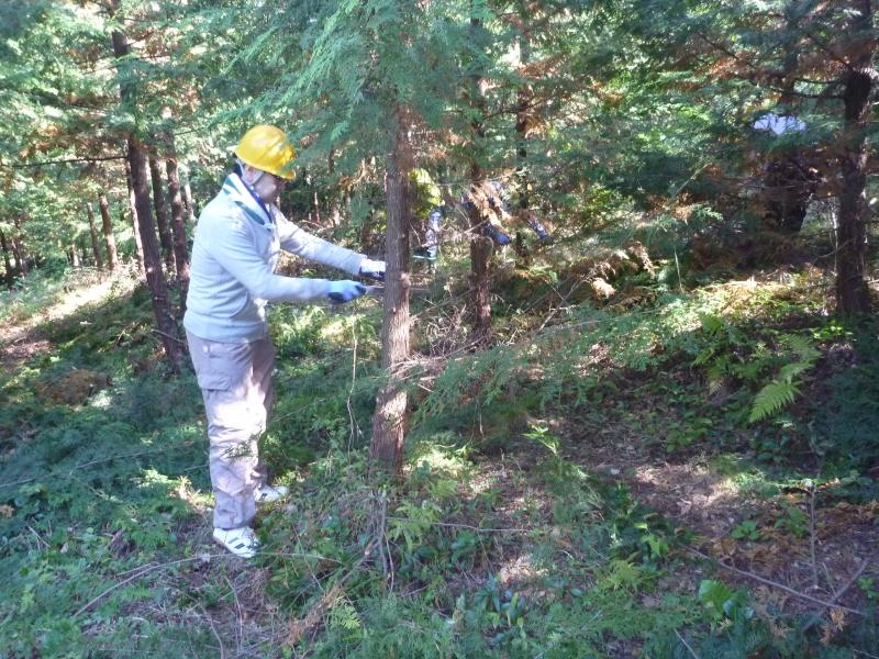 作業をする社員の方