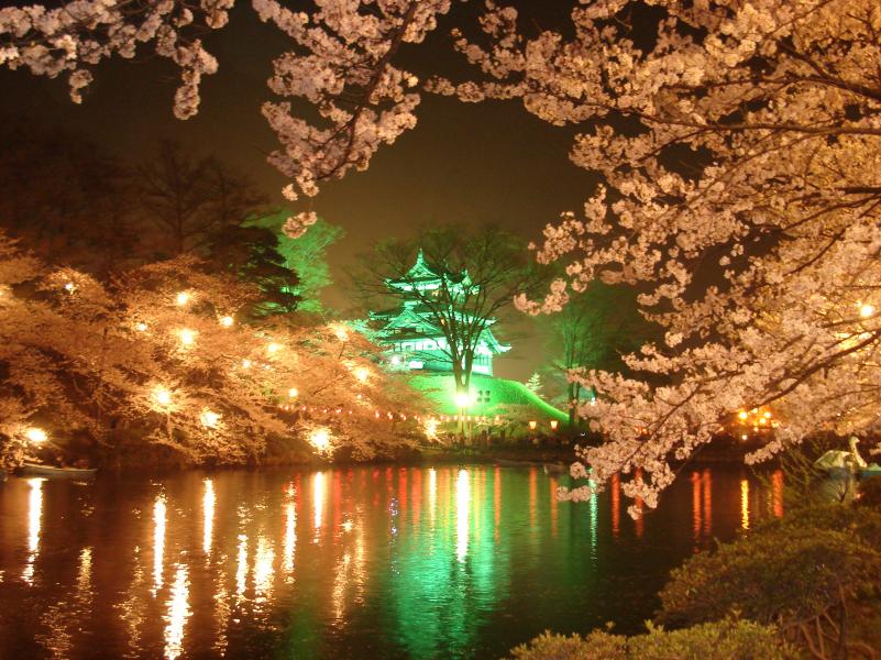 夜桜(高田城）