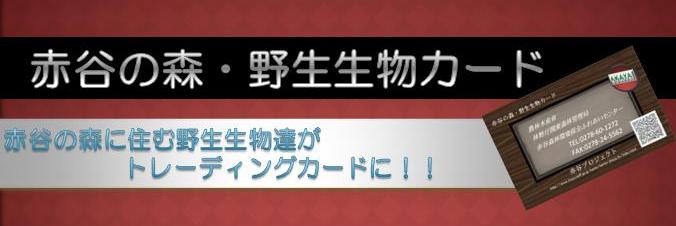 カードバナー