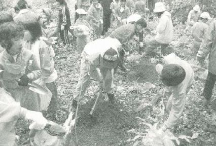 小学校で育てた苗本を山に返す創立百周年の記念植樹