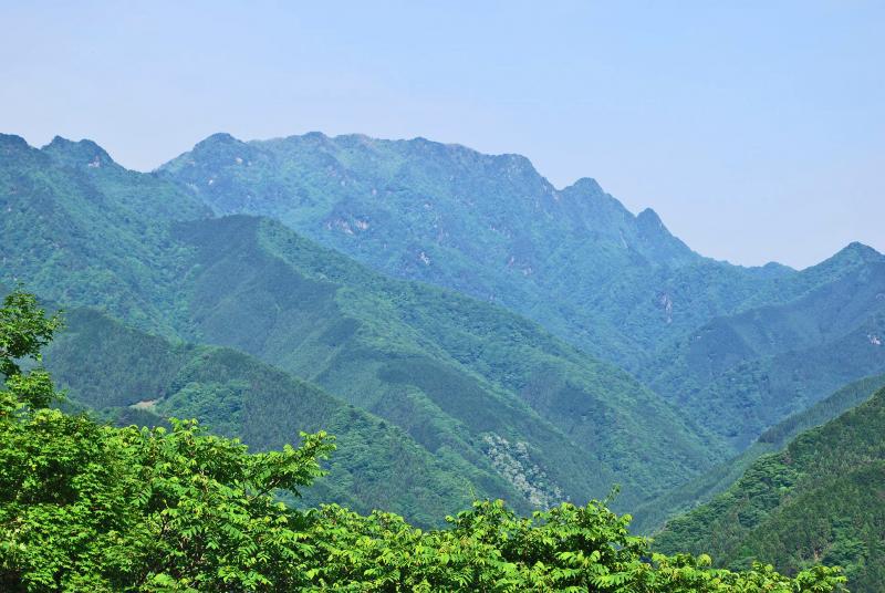 小鹿野町から両神山
