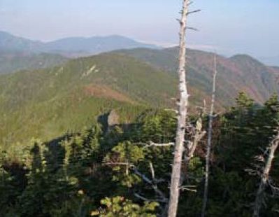 緑の回廊(甲武信岳周辺)