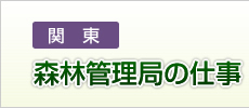 森林管理局の仕事