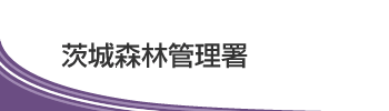 茨城森林管理署