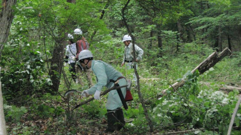 「あかぎ親しみの森」森林整備112