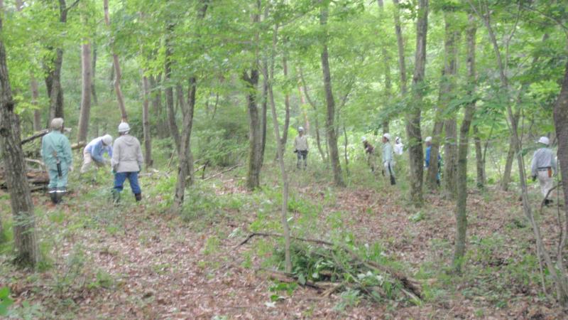 「あかぎ親しみの森」森林整備113