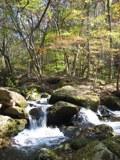 takigawa-keikoku