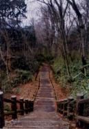 林内遊歩道