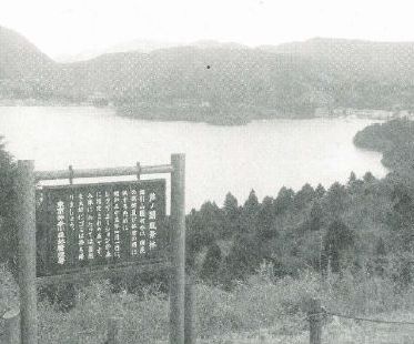 芦ノ湖風景林からの眺望