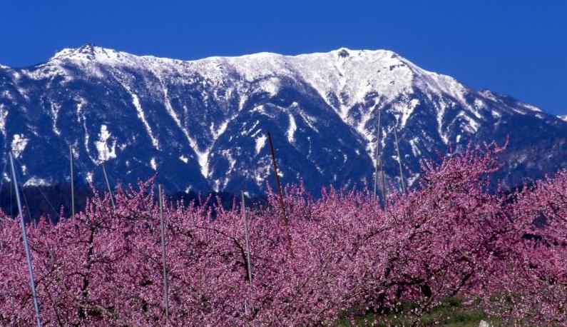 南アルプス鳳凰三山