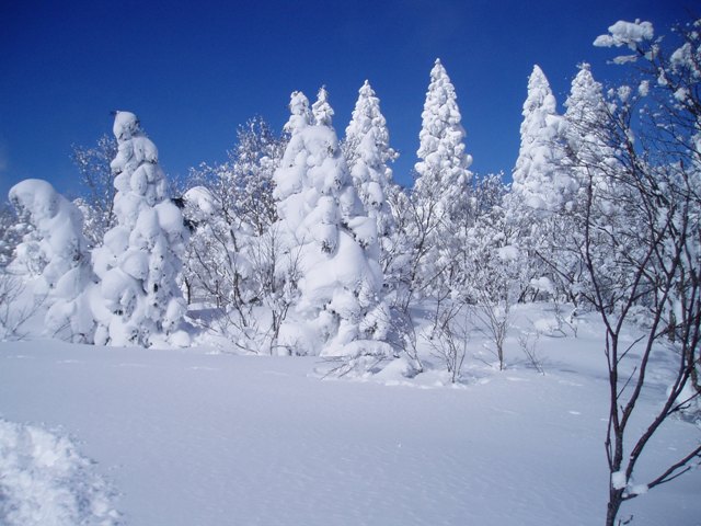 広島－TOP