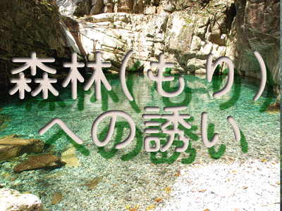 森林へのいざない