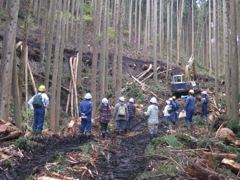 三光山国有林　列状間伐地における間伐木集材の様子　【第二回・岡山】