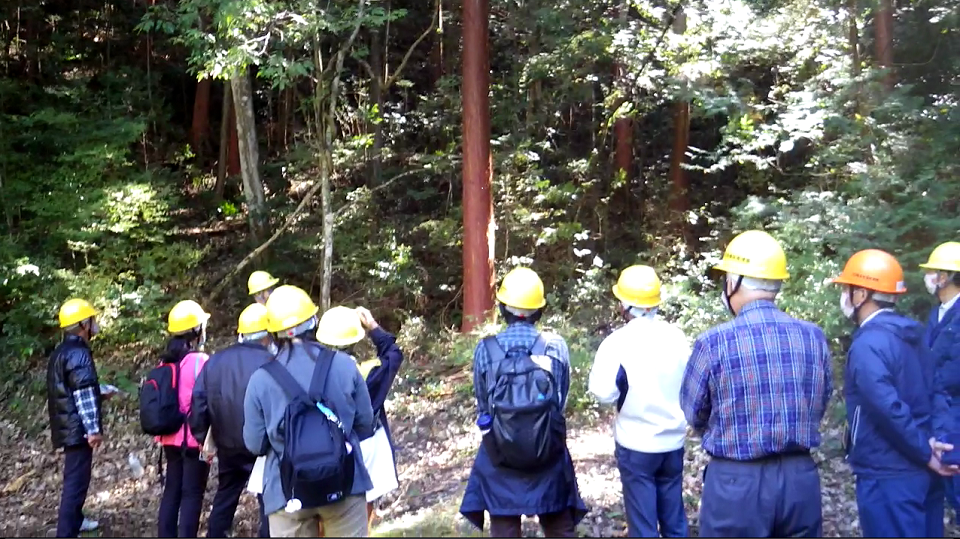 仏通寺国有林の檜皮採取林の説明