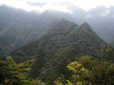 山地災害防止タイプ代表　平石国有林