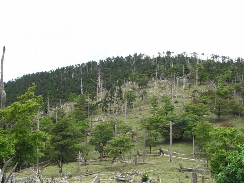 大台ヶ原