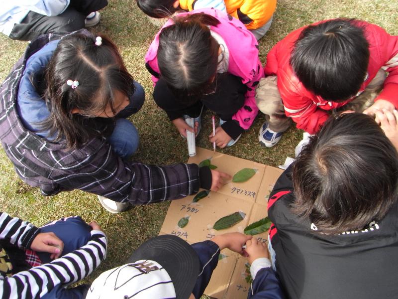 小学生の森林教室