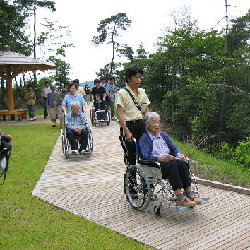 たまみずきの道