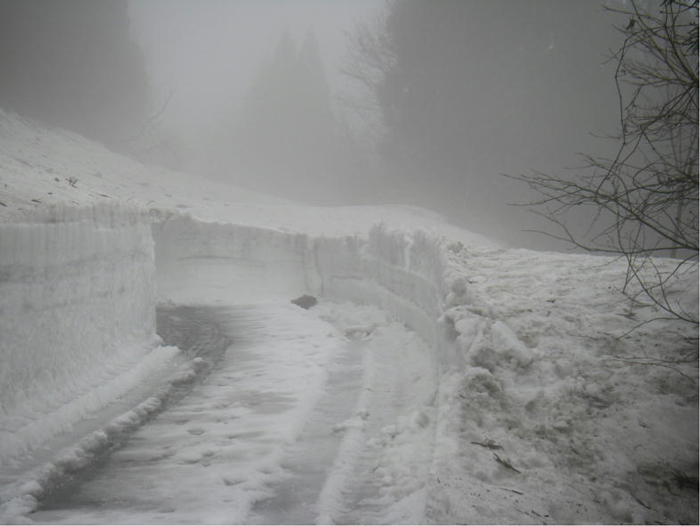 積雪時の道路状況