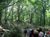 緑の回廊ワークショップエコツアー