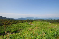 兵庫県新温泉町上山高原