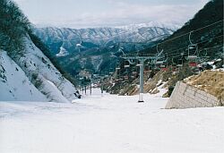 奥伊吹野外スポーツ林