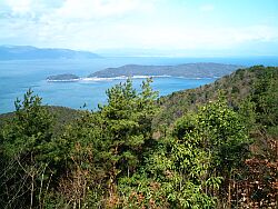 近江湖南アルプス自然休養林・奥島地区