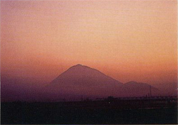 近江湖南アルプス自然休養林・奥島地区