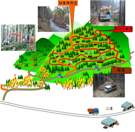 森林共同施業団地イメージ図