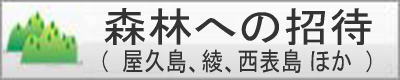 森林への招待